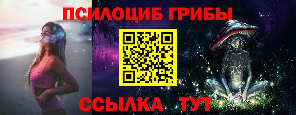 что такое   Псилоцибиновые грибы Cubensis  Шатура  Вход с VPN  Галлюциногенные грибы ЛСД 