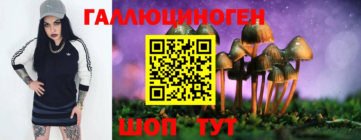 Псилоцибиновые грибы ЛСД Шатура